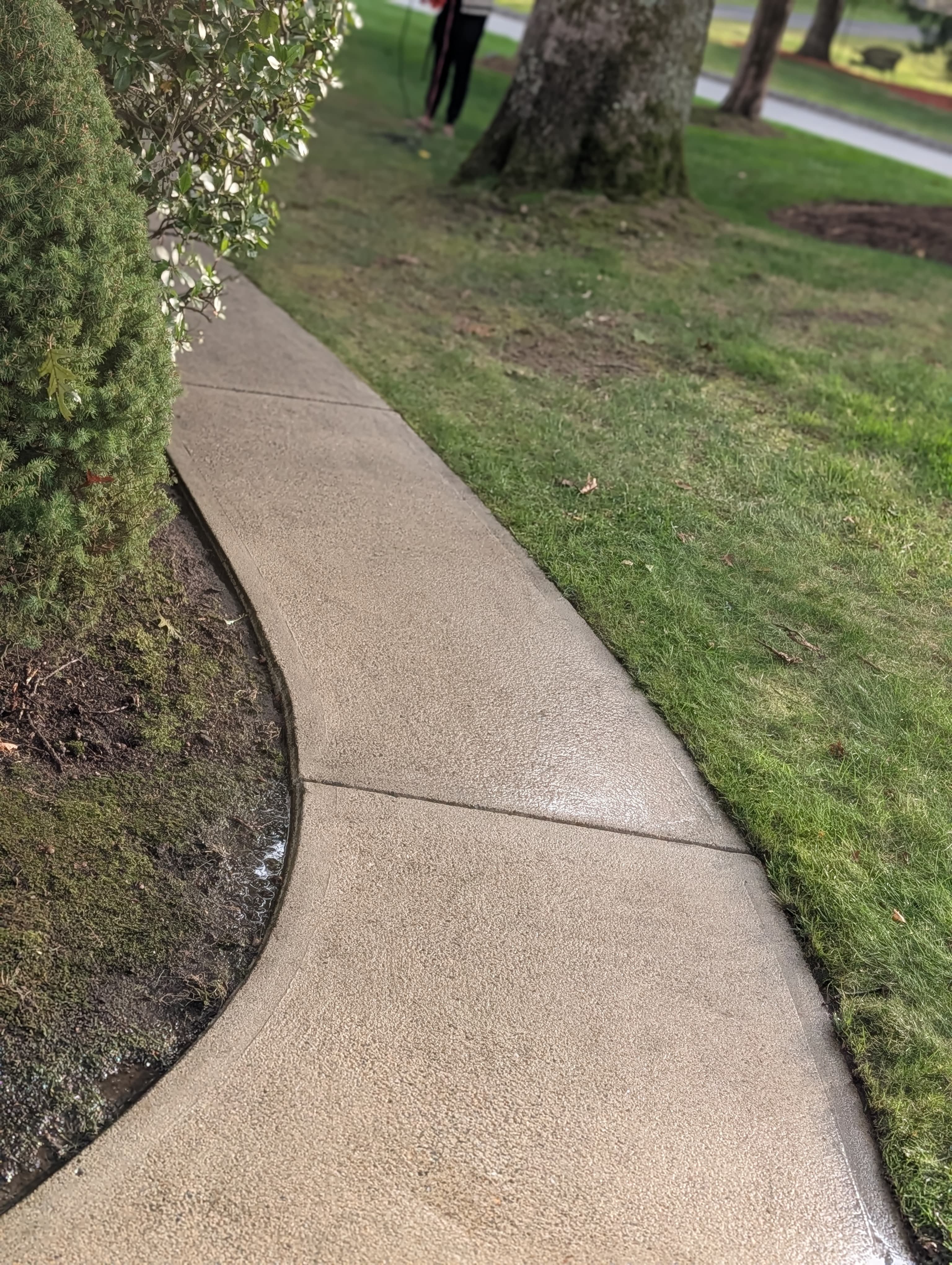 Professional power washing service